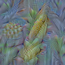 n12144580 corn